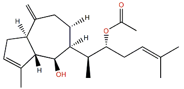 Dictyol K